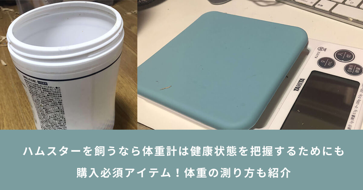 ハムスターを飼うなら体重計は健康状態を把握するためにも購入必須アイテム 体重の測り方も紹介 Arrown