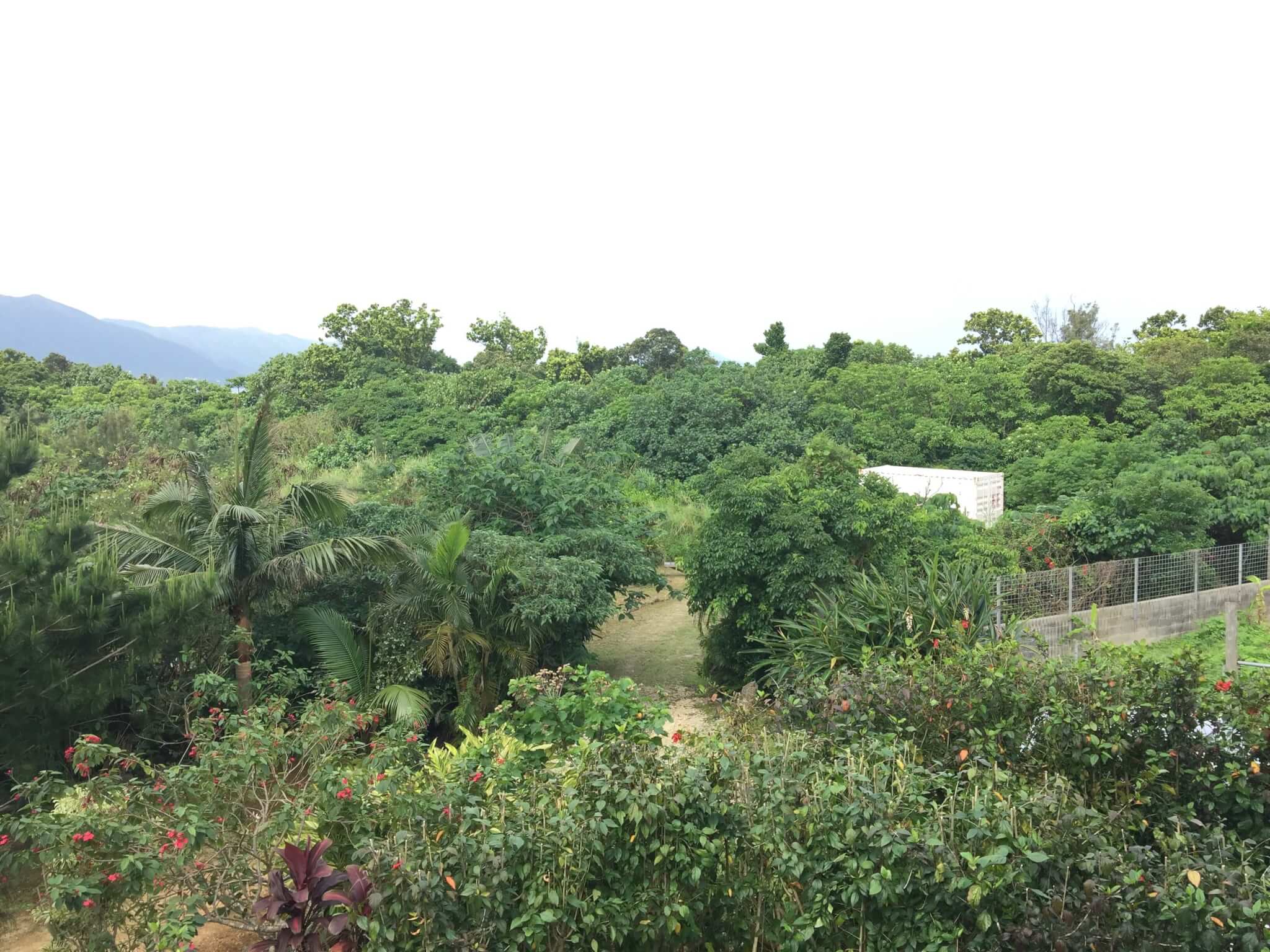 石垣島ゲストハウス棲家まーるの部屋から見える景色